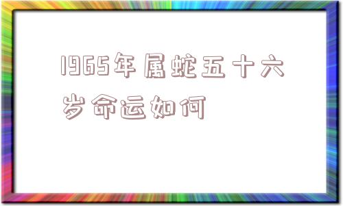 1965年属蛇五十六岁命运如何