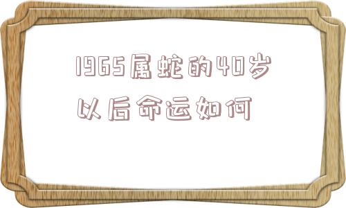 1965属蛇的40岁以后命运如何