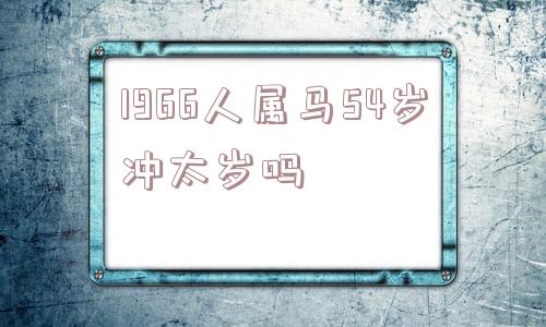 1966人属马54岁冲太岁吗