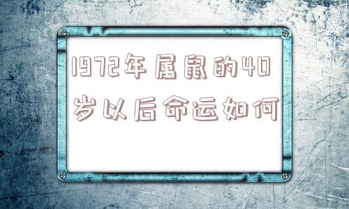 1972年属鼠的40岁以后命运如何