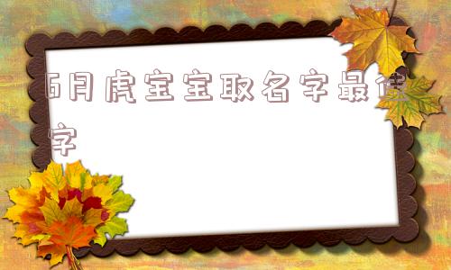 6月虎宝宝取名字最佳字