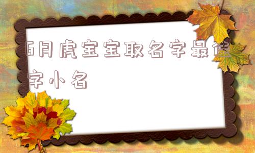 6月虎宝宝取名字最佳字小名